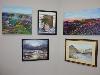 gallery/Activities/Exhibitions/Annual%20exhibitions%20at%20the%20Smith%20House%20Gallery%20Brighouse/2015/_thb_P1010459.jpg
