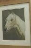 gallery/Members_Paintings/Catherine_Clapham/_thb_A_palomino_horse_s_head.jpg