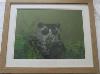 gallery/Members_Paintings/Catherine_Clapham/_thb_Spectacled_bear_cub.jpg