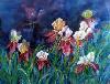 gallery/Members_Paintings/Dorothy-Pickering/_thb_Paintings_009.jpg