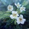 gallery/Members_Paintings/Dorothy-Pickering/_thb_WHITERosesaa.jpg