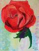 gallery/Members_Paintings/Francesca_Pearson/_thb_Red_Roseaa.jpg