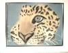 gallery/Members_Paintings/Francesca_Pearson/_thb_The_Leopard_Pastel_by_Francesca_Pearson_Age_14aa.jpg