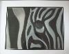 gallery/Members_Paintings/Francesca_Pearson/_thb_The_Zebra_pastel_aged_14AA.jpg