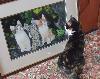 gallery/Members_Paintings/Irene_Scott/_thb_Toffee_looking_at_Three_Kittens_paintingaa.jpg