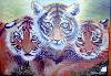 gallery/Members_Paintings/Mary_Needham/_thb_tigers1011.jpg