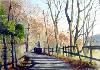 gallery/Members_Paintings/Muriel_Kaye/_thb_9a.jpg