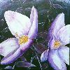 gallery/Members_Paintings/Peter_Wade/_thb_Hellebore_by_Moonlightaa.jpg