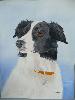 gallery/Members_Paintings/Sue_Blackwell/_thb_border_colliie_etc_pics_001aa.jpg